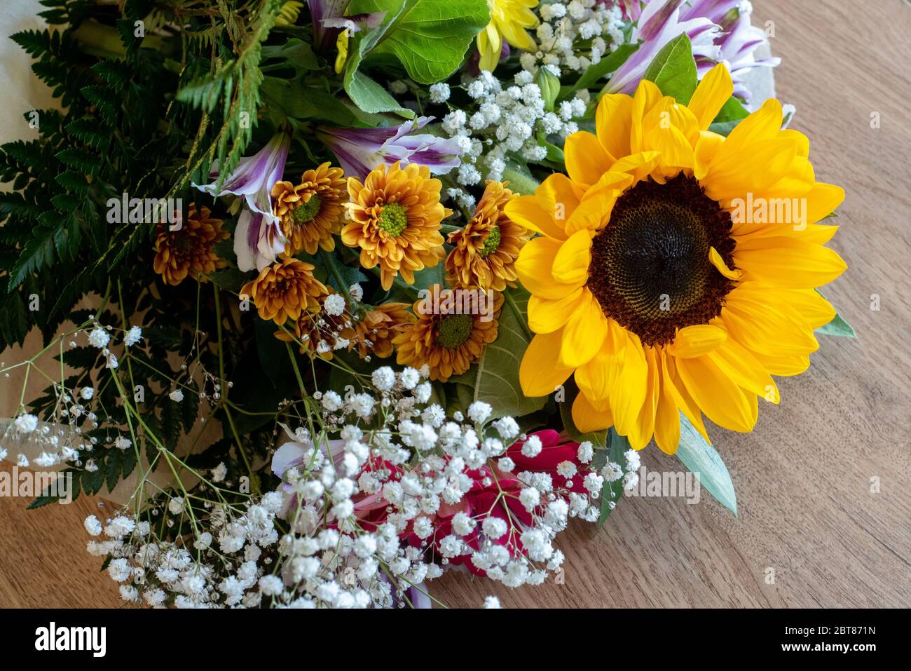 Strauß von Wildblumen. Bunte Blumen Zusammensetzung. Stockfoto