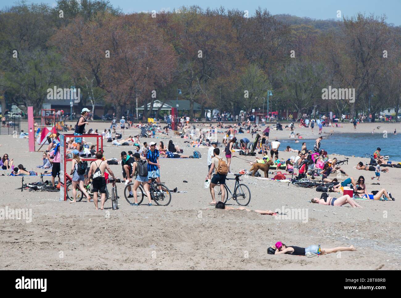 Toronto, Kanada. Mai 2020. Am 23. Mai 2020 haben die Gäste viel Zeit im Woodbine Beach Park in Toronto, Kanada. Die Stadt Toronto hat an diesem Wochenende Hunderte von Parkanlagen, darunter Basketballplätze, Baseballdiamanten und Picknickpavillons, mit physischen Distanzierungsmaßnahmen wieder eröffnet. Kredit: Zou Zheng/Xinhua/Alamy Live News Stockfoto