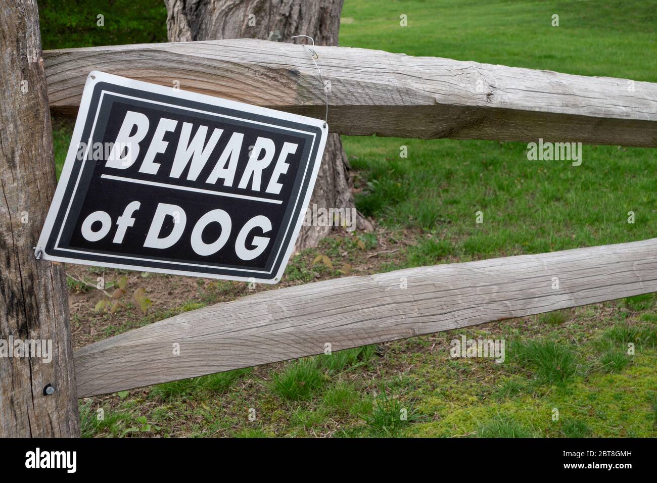 Vorderer Rasen mit Baum und zwei Schienen Holzzaun mit Schild, das "Vorsicht Hund" liest Stockfoto