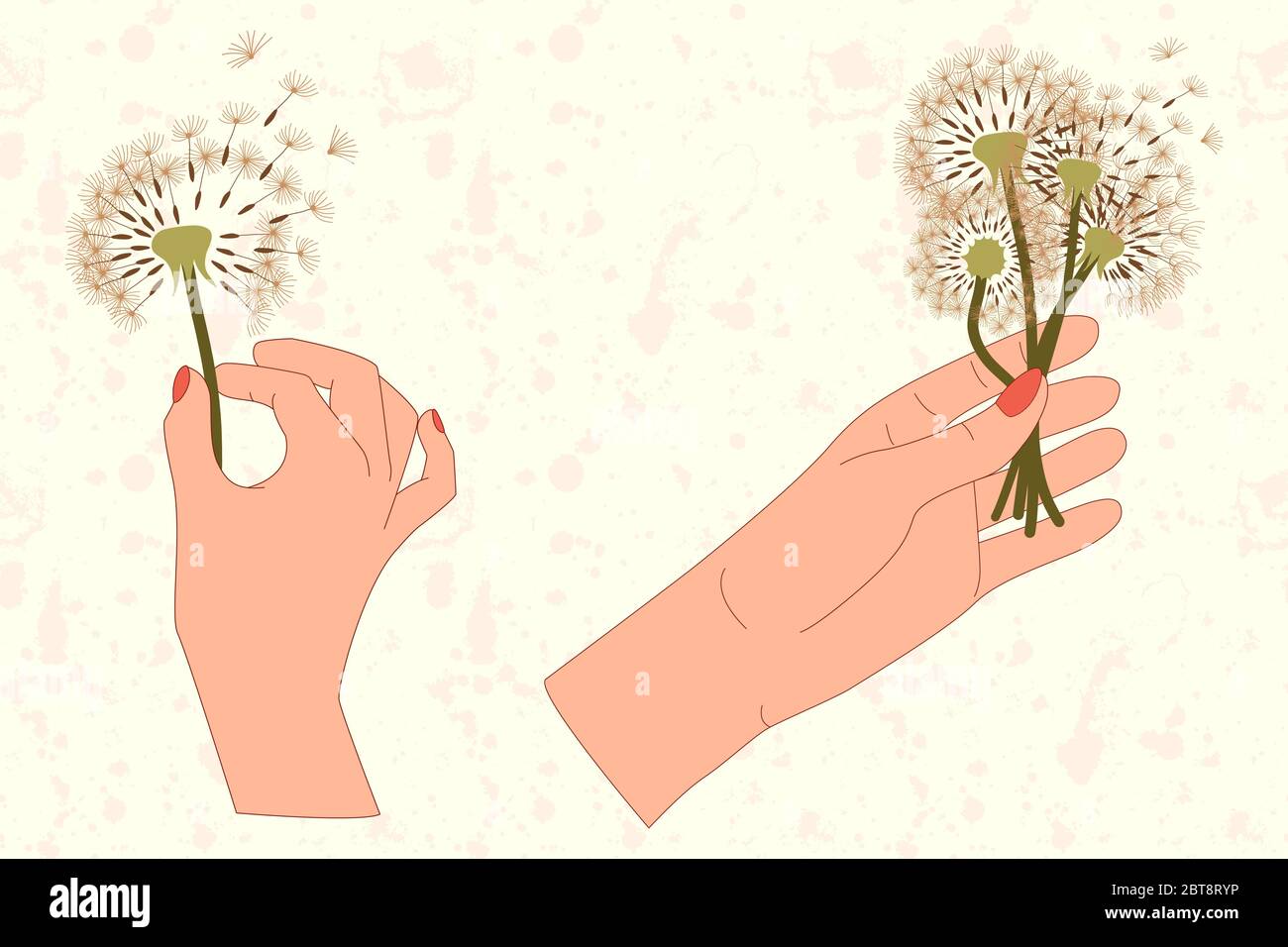 Set aus zwei Händen und Löwenzahn Bouquet in flacher Stil. Wiesenblüte. Vector isolierte Kunst Konzept. Stock Vektor