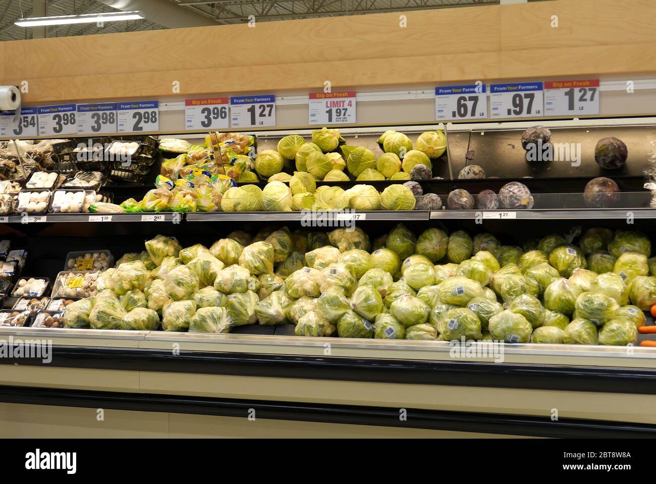 Frisches Gemüse auf Regal zum Verkauf im Supermarkt Stockfoto