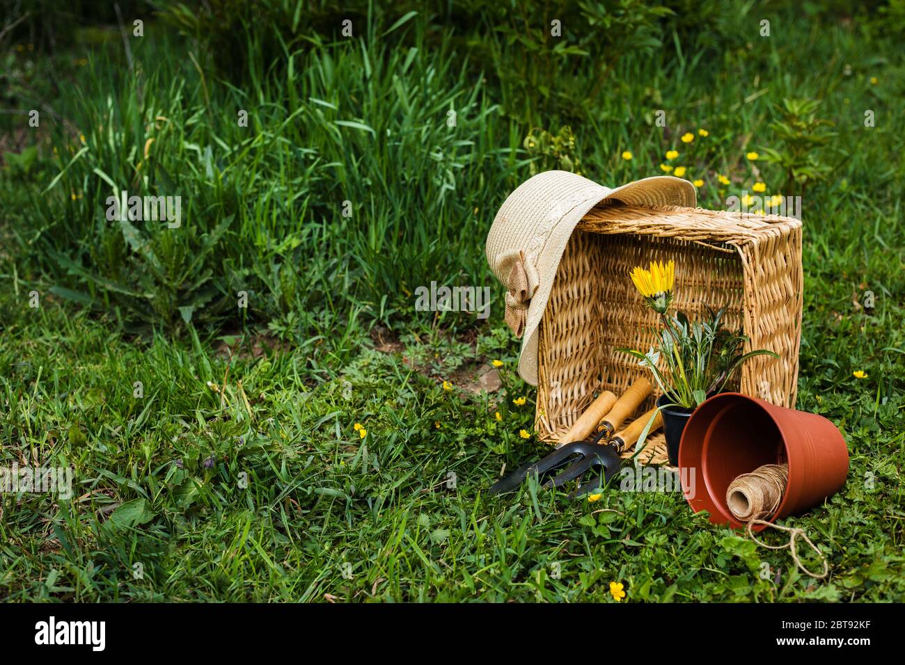 Frühlingsblumen in Korbkorb mit Gartengeräten. Konzept der gardering. Stockfoto
