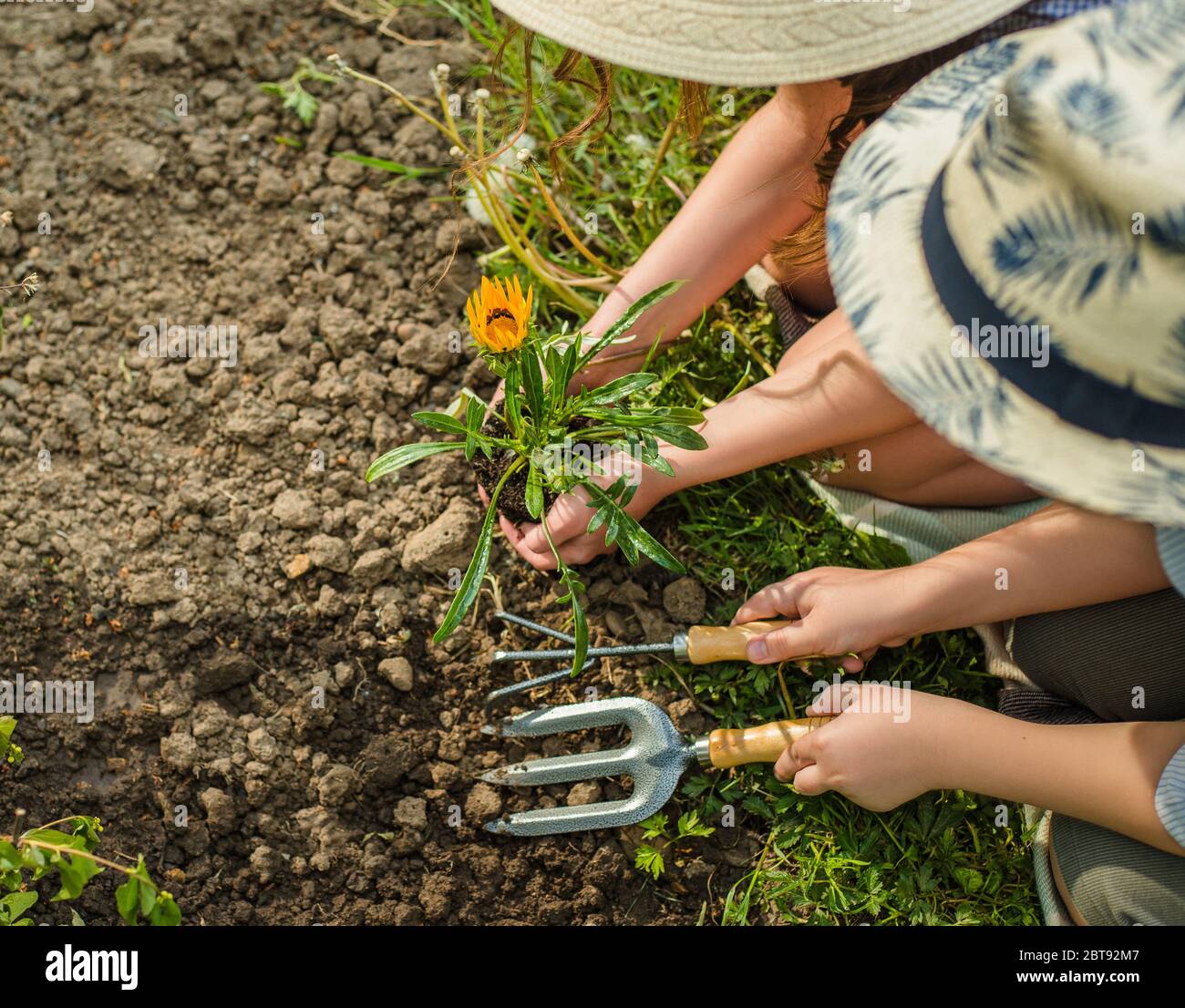 Junges Mädchen und junge Gärtner Pflanzen Blumen im Sommergarten bei Sonnenuntergang. Sommeraktivitäten. Stockfoto