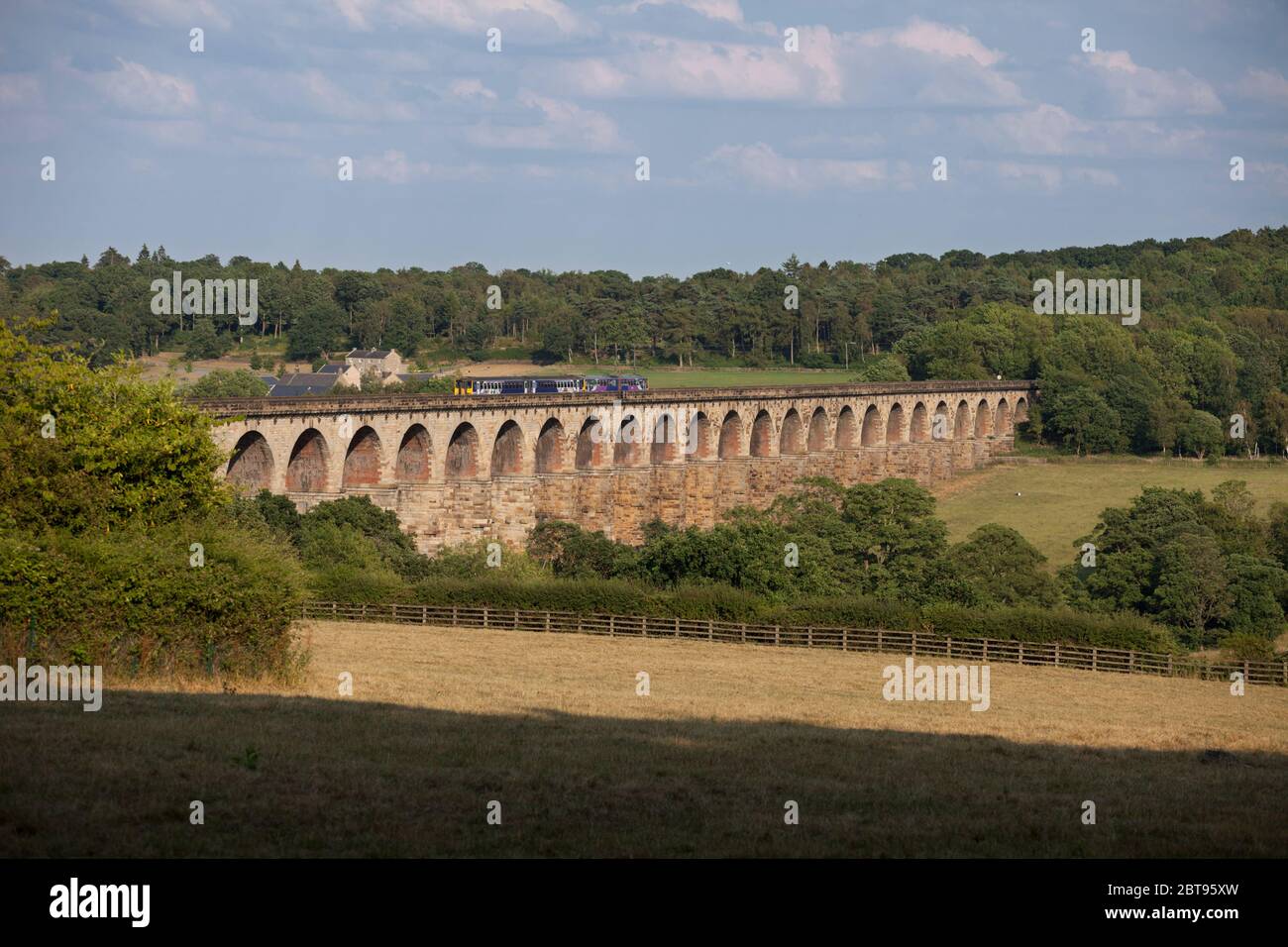 Nordbahn-Sprinterzug der Klasse 155 + Schrittzug der Klasse 144 über den langen Crimple-Talviadukt (südlich von Harrogate) Stockfoto