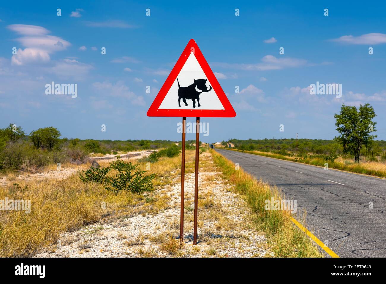 Warzenschweine überqueren Warnschild entlang einer Straße in Namibia platziert Stockfoto