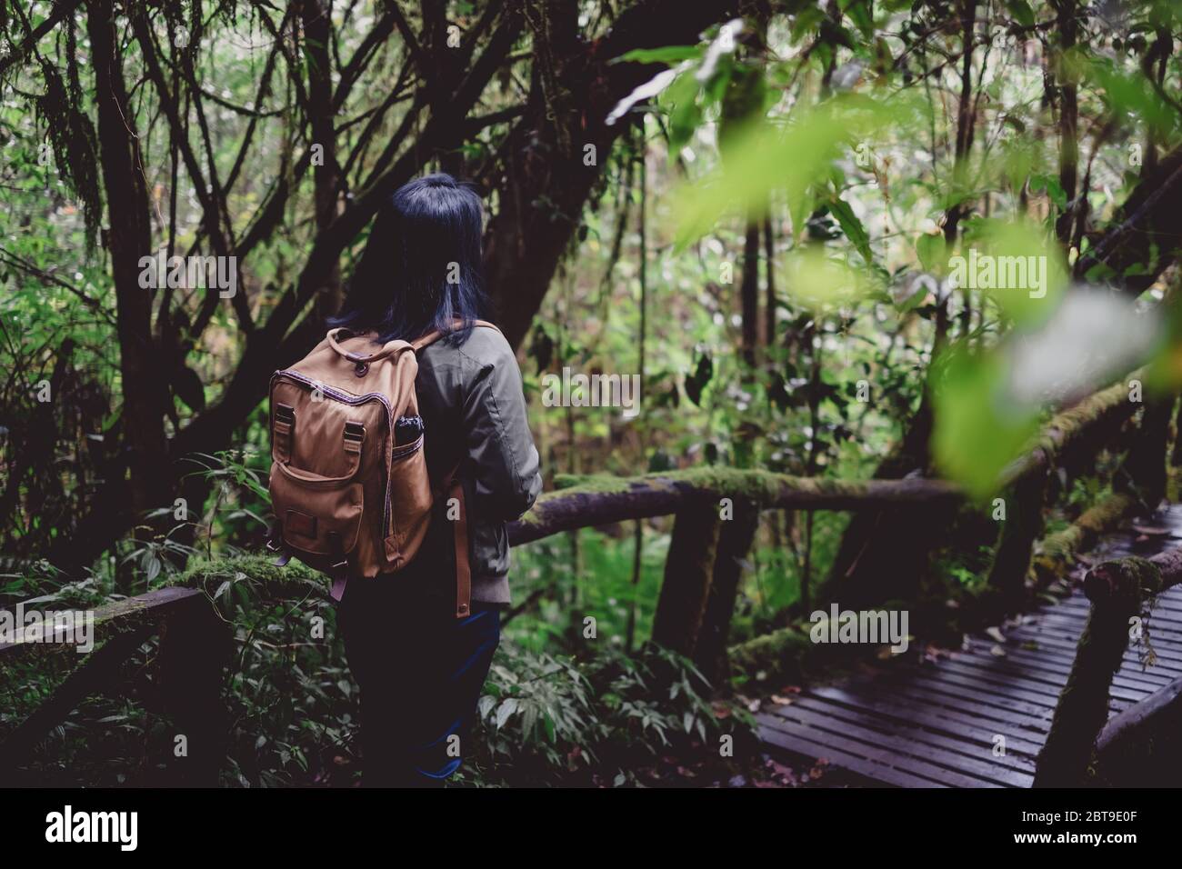 Asiatische Backpacker Blick auf die Ansicht in Regenwald nutural Trail.Low Winkel Ansicht Stockfoto