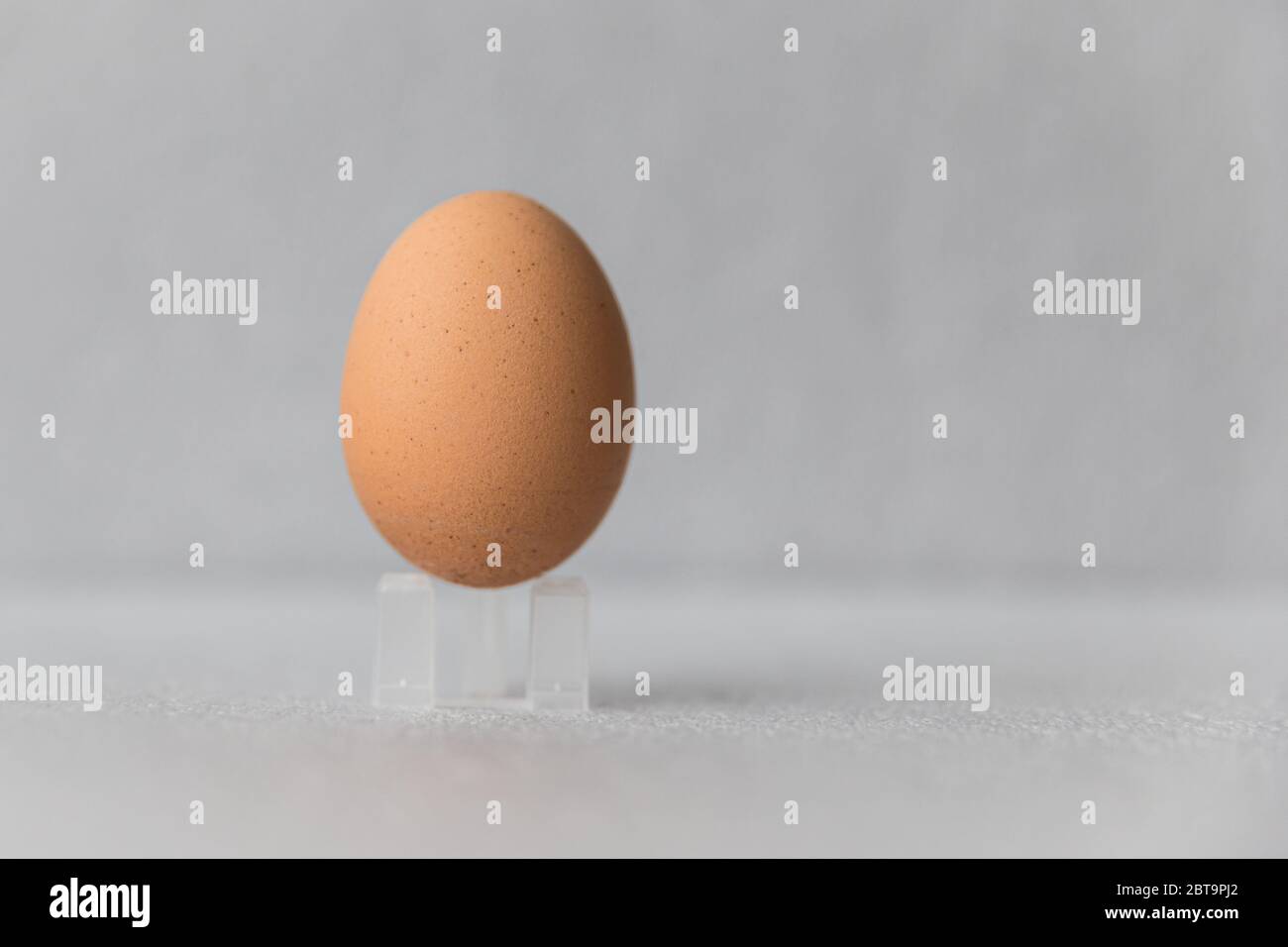 Minimalistische Nahaufnahme von Eiern Stockfoto