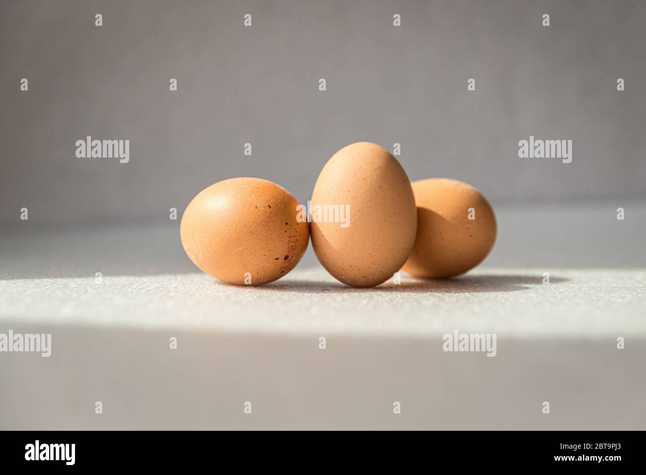 Minimalistische Nahaufnahme von Eiern Stockfoto