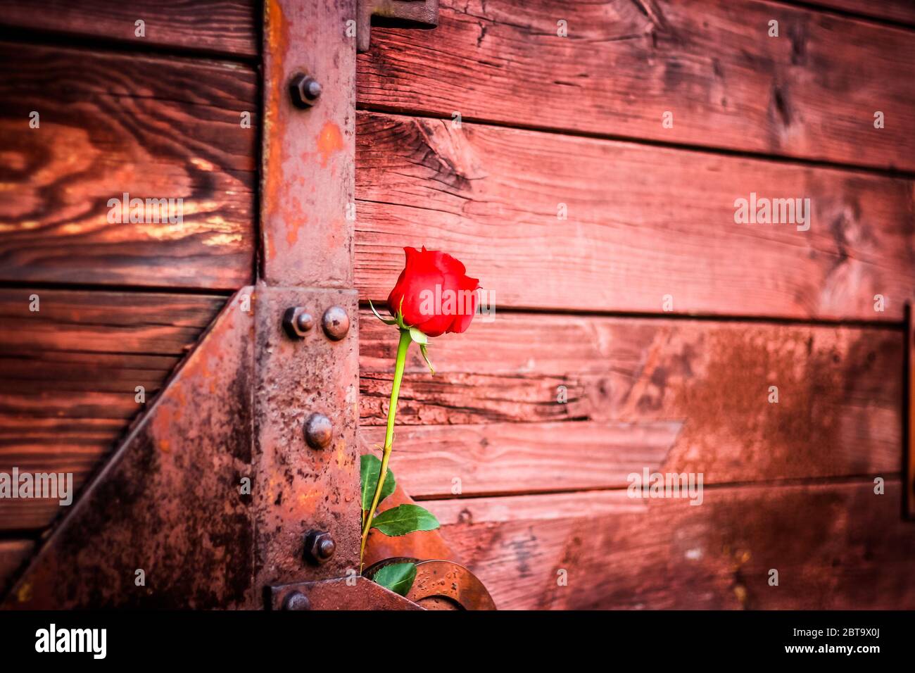 Auschwitz Birkenau Todeszug Wagen Stockfoto