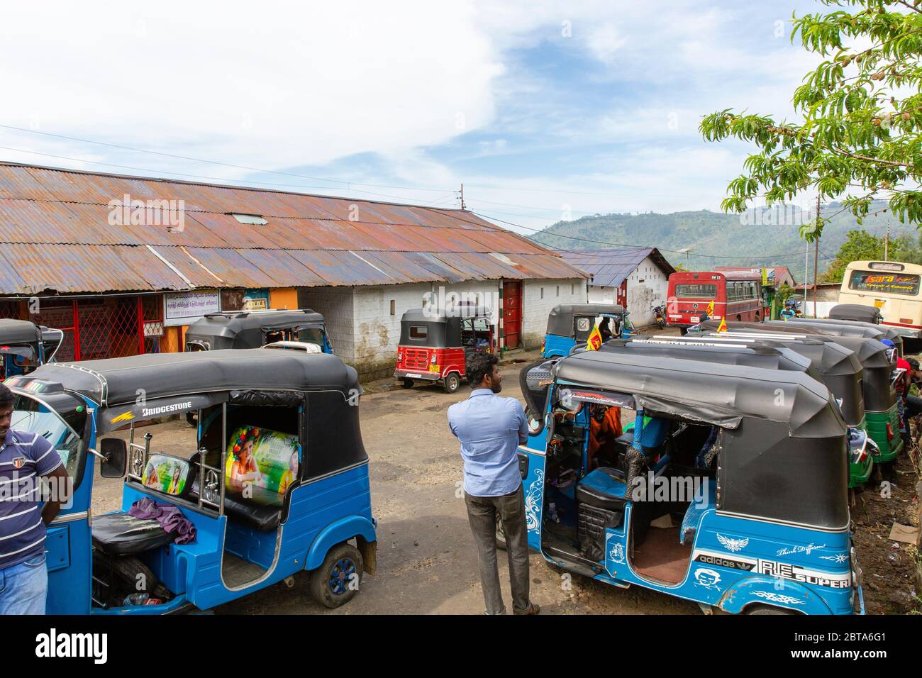 Tuk Tuks und ihre Fahrer warten auf die Fahrpreise. Abgesehen von Motorrädern sind Tuk Tuks das beliebteste Fahrzeug auf Sri Lankas Straßen. Leider, sie Stockfoto