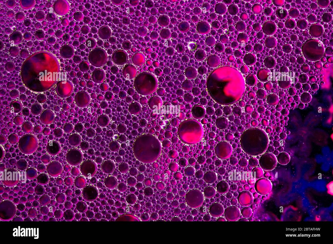 Ein fantastisches Foto von oben aus Flüssigwasserblasen, Makroaufnahme Stockfoto