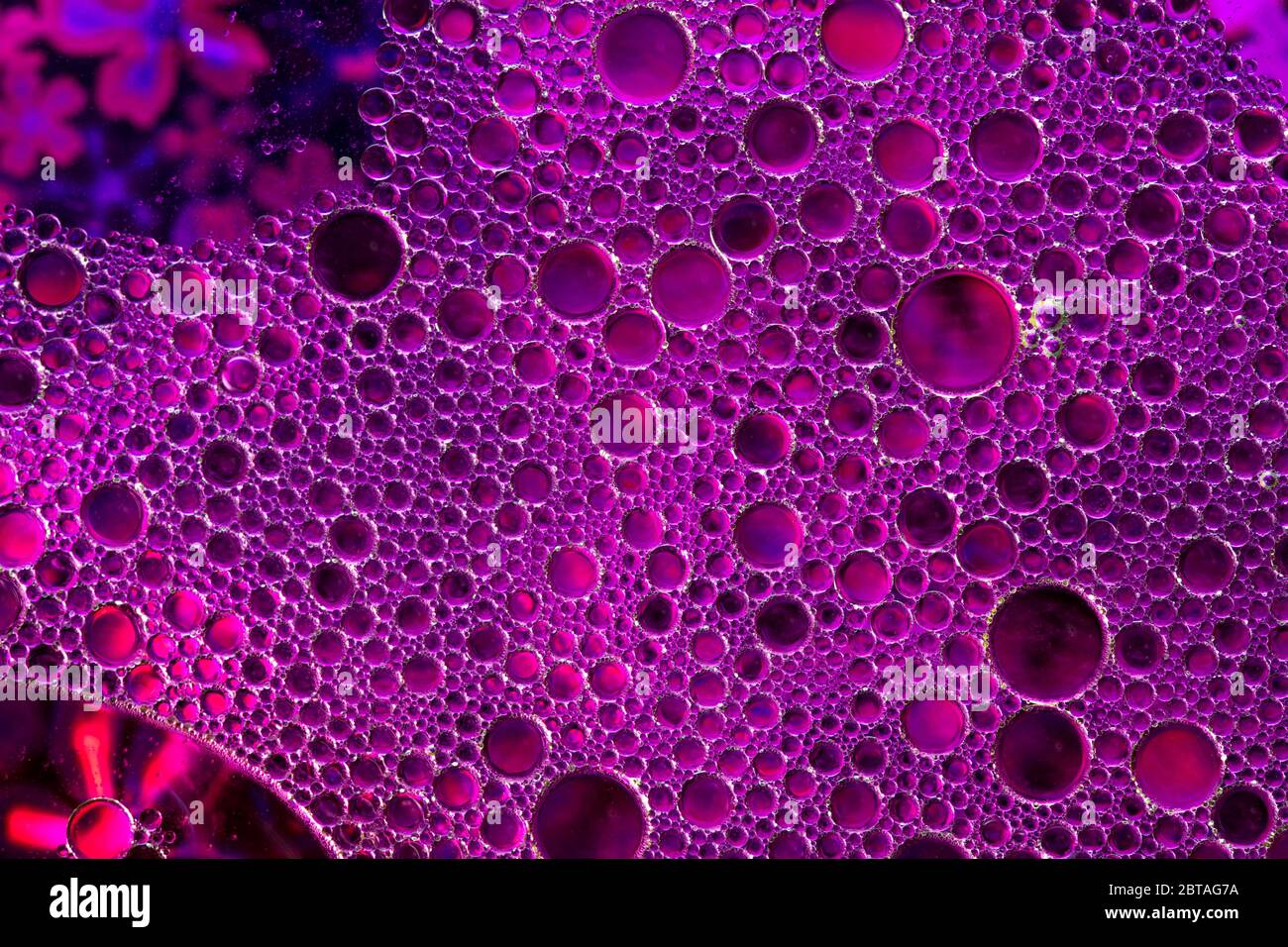 Ein fantastisches Foto von oben aus Flüssigwasserblasen, Makroaufnahme Stockfoto