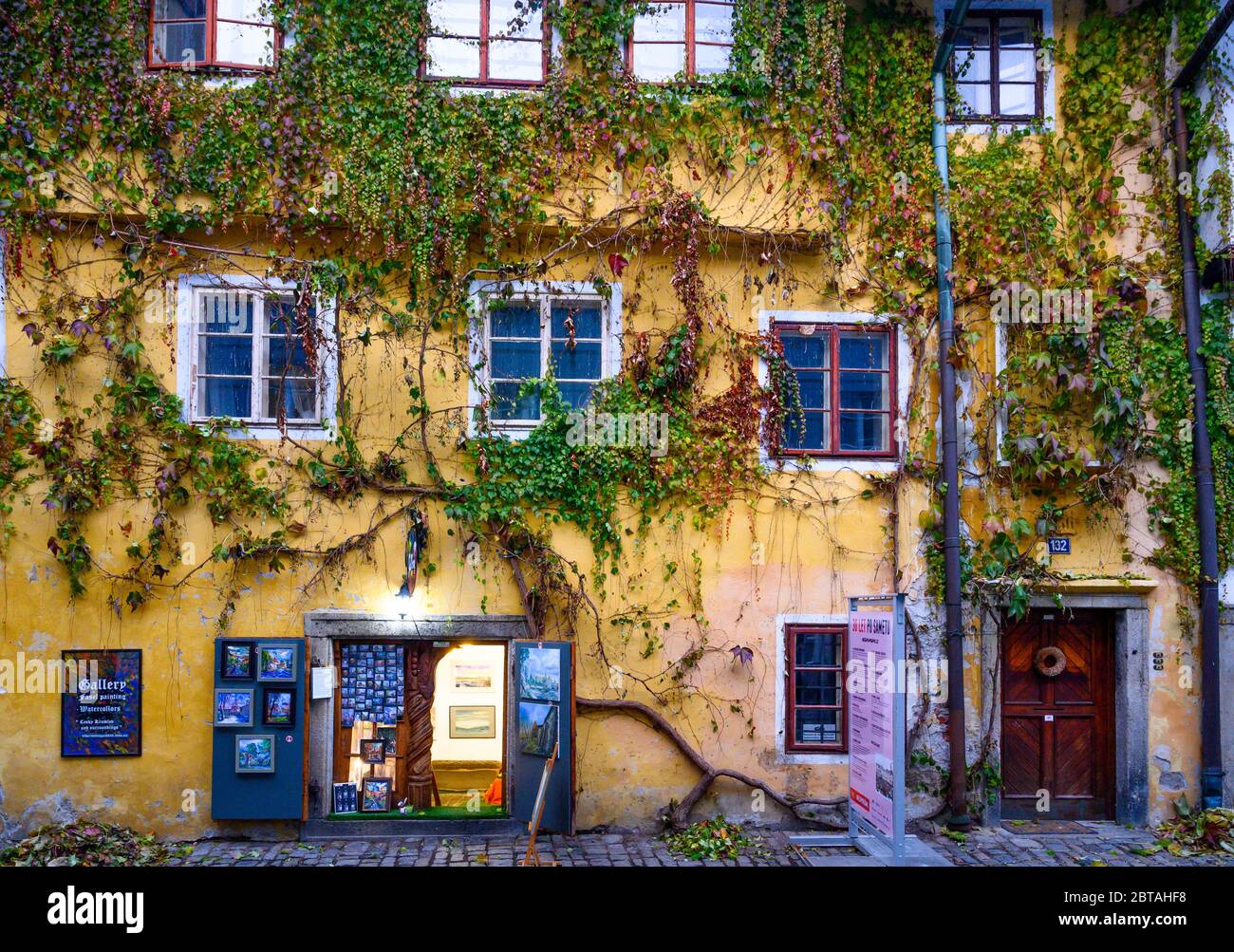 Gelbes, mit Weinreben bedecktes Gebäude in Cesky Kromlov, einer Stadt in der südböhmischen Region der Tschechischen Republik, Europa Stockfoto