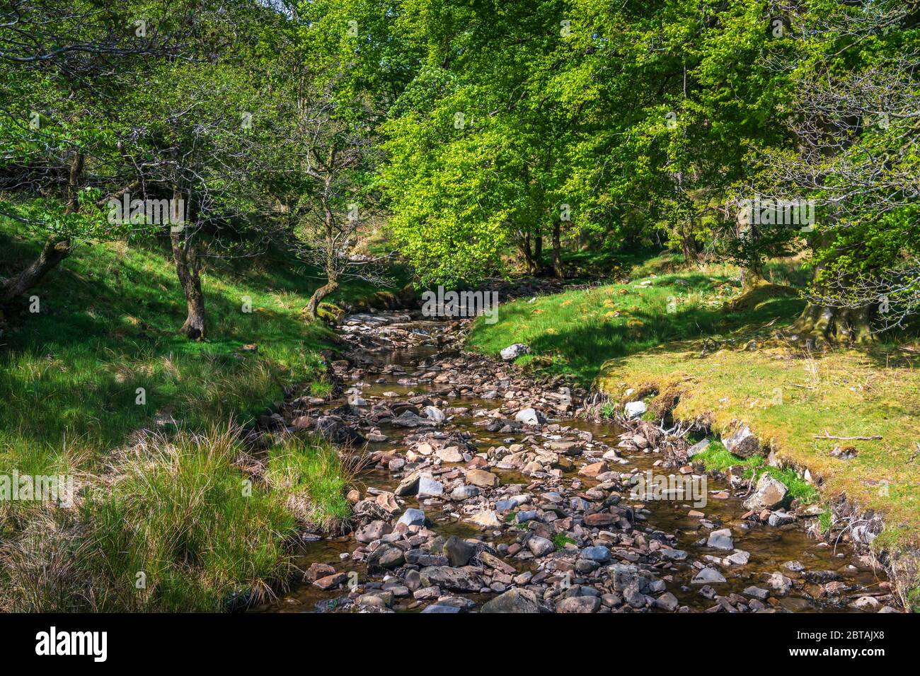 Ein Sommer drei Bilder HDR Bild von Back Gill in Kingsdale bei Ingleton, Yorkshire Dales National Park, England. 21 Mai 2020 Stockfoto