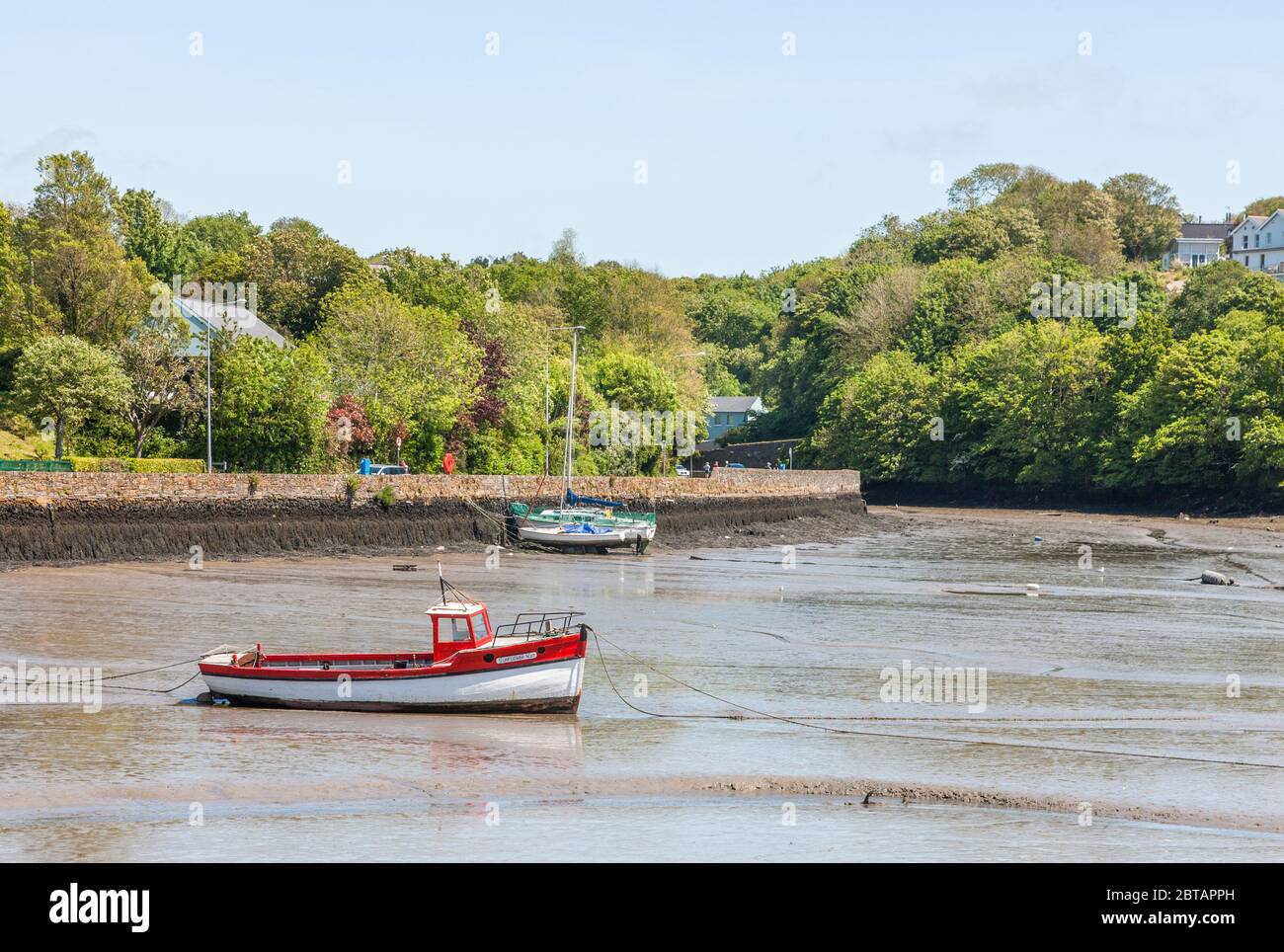 Kinsale, Cork, Irland. Mai 2020. Kleines Fischerboot, Sonnenblume bei Ebbe in Kinsale, Co.Cork, Irland. - Credit; David Creedon / Alamy Stockfoto