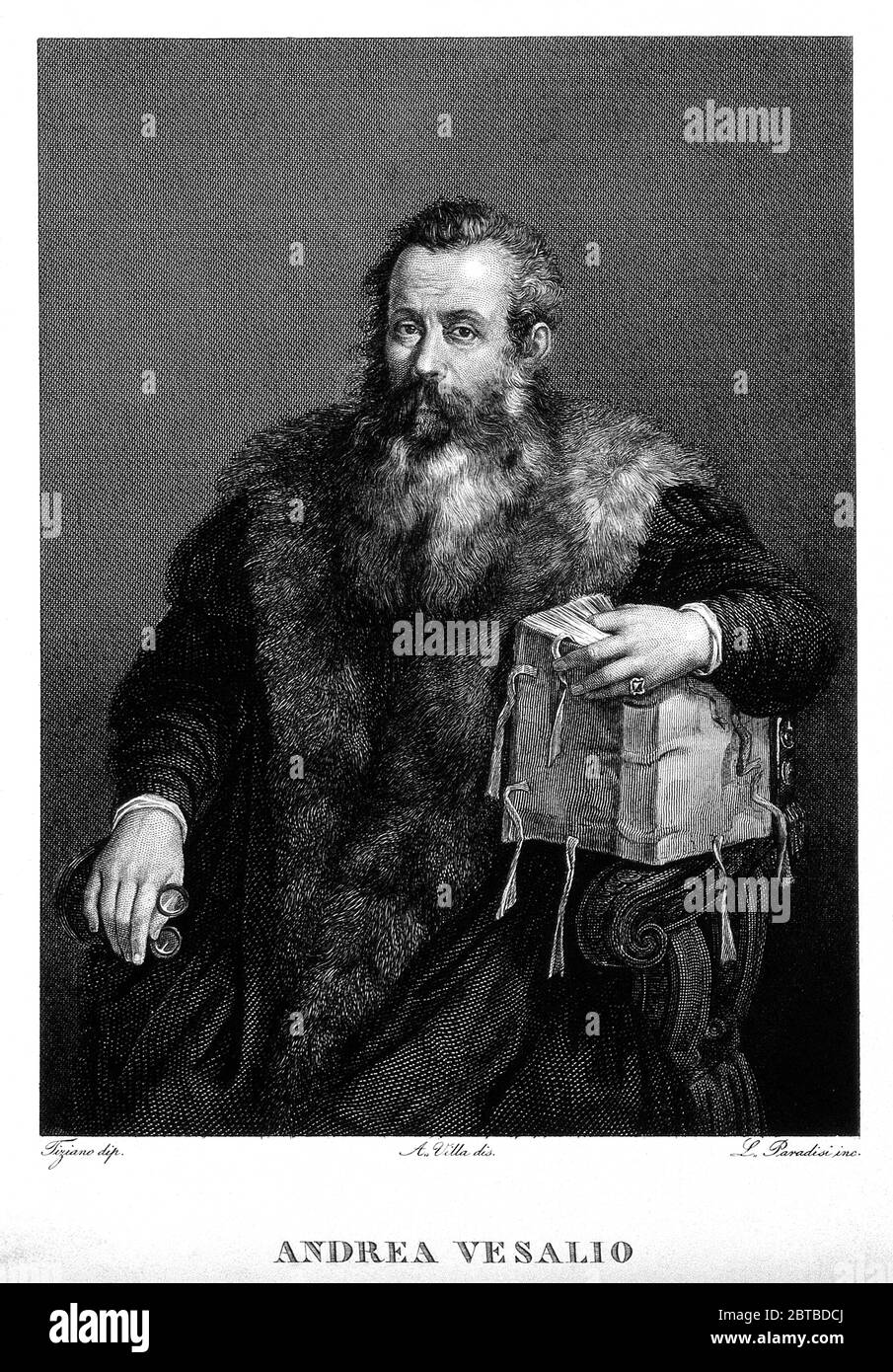 1560 Ca, BELGIEN: Der Flamische Anatom ANDREAS VESALIUS (* 1514; † 1564) alias ANDREA VESALIO alias Andreas van Wesel. Autor von de Humani Corporation Fabrica Libri Septem (auf dem Gewebe des menschlichen Körpers). PortraitL. Paradisi aus Antonio Villa nach Tiziano Vecellio. - ANATOMIE - ANATOMIE - ANATOM - ANATOMISTA - Wissenschaftler - Porträt - Ritratto - DOTTORE - MEDICO - MEDICINA - Medizin - SCIENZA - WISSENSCHAFT - DOTTORE - MEDICIAN - Illustration - Gravur - Incision - Bart - Barba - BELGIO -- Archivio GBB Stockfoto