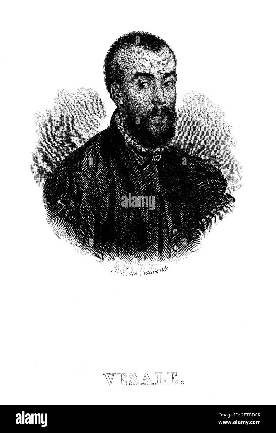 1543, BELGIEN: Der flamische Anatom ANDREAS VESALIUS (* 1514; † 1564) alias ANDREA VESALIO alias Andreas van Wesel. Autor von de Humani Corporation Fabrica Libri Septem (auf dem Gewebe des menschlichen Körpers). Porträt Radierung im Alter von 28 Jahren von J. W. des Hauvends, XIX Jahrhundert . - ANATOMIE - ANATOMIE - ANATOM - ANATOMISTA - Wissenschaftler - Porträt - Ritratto - DOTTORE - MEDICO - MEDICINA - Medizin - SCIENZA - WISSENSCHAFT - DOTTORE - MEDICIAN - Illustration - Gravur - Incision - Bart - Barba - BELGIO -- Archivio GBB Stockfoto