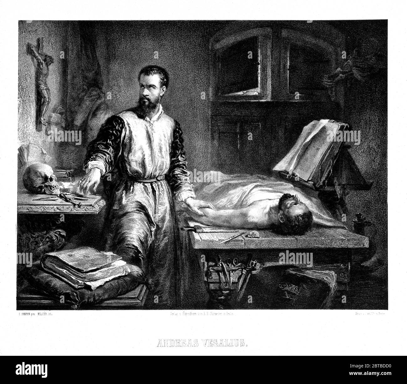 1550 Ca, BELGIEN: Der Flamische Anatom ANDREAS VESALIUS (* 1514; † 1564) alias ANDREA VESALIO alias Andreas van Wesel. Autor von de Humani Corporation Fabrica Libri Septem (auf dem Gewebe des menschlichen Körpers). Porträt von E. Milster nach E.J.C. Hamman, 1849 . - ANATOMIE - ANATOMIE - ANATOMIE - ANATOM - ANATOMISTA - Wissenschaftler - AUTOPSIA - AUTOPSIE - Porträt - Ritratto - DOTTORE - MEDICO - MEDICINA - Medizin - WISSENSCHAFT - WISSENSCHAFT - postmortem - DOTTORE - MEDICIAN - Illustration - Illustration - Gravur - Incision - Bart - Barba - BELGIO --- Archivio GBB Stockfoto