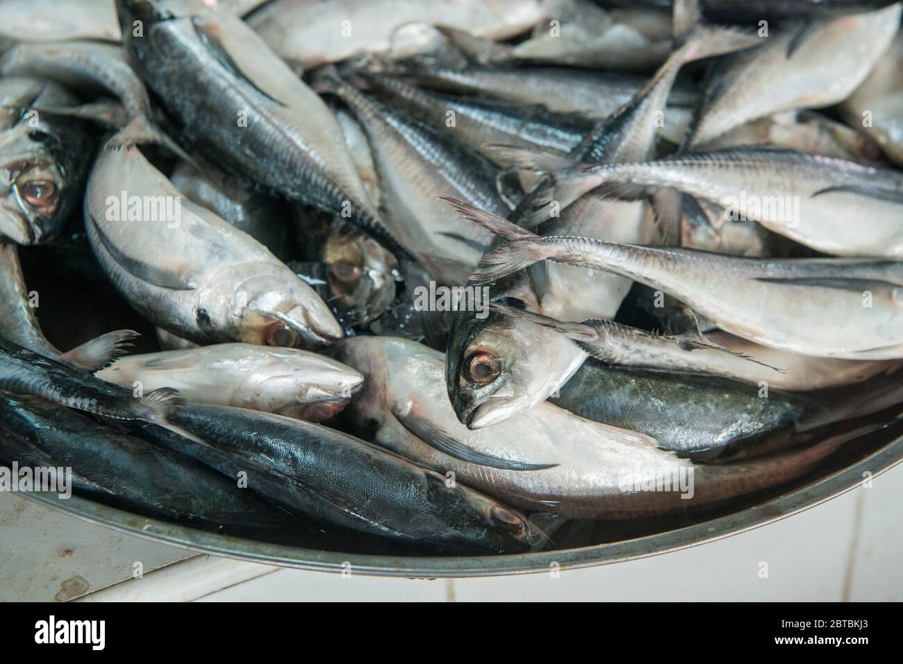 Frischer Fisch im Hafen des Fischerdorfes Sai Noi nahe der Stadt Pranburi auf dem Golf von Thailand südlich der Stadt Hua hin in Thailand. Stockfoto