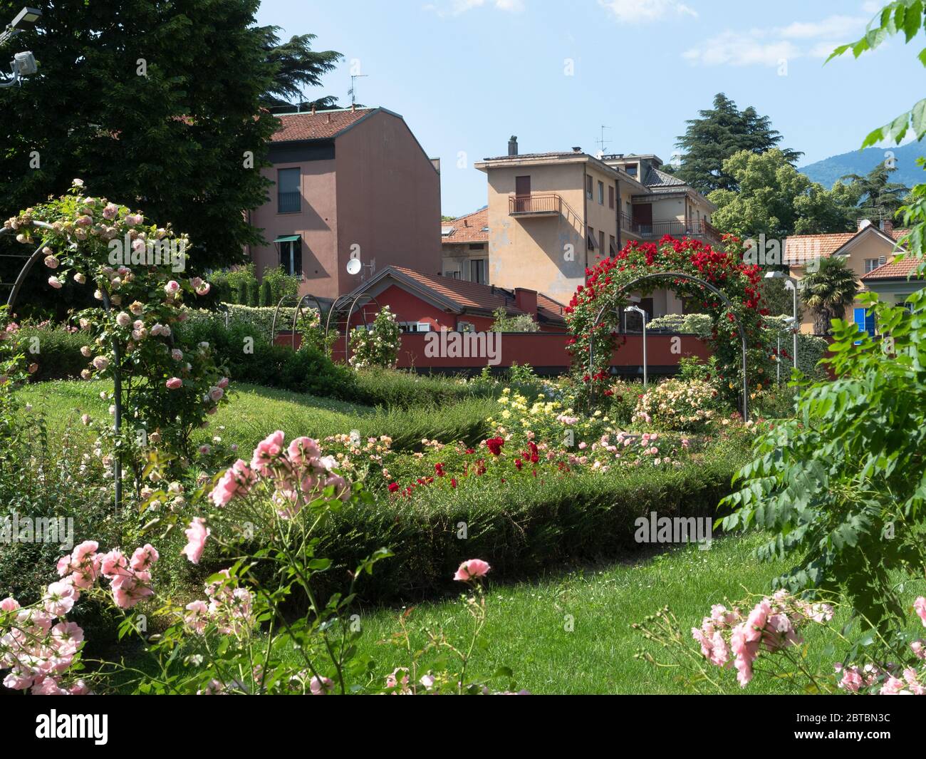 Üppiger Stadtpark mit einer reichlichen Sommerblüte geschmückt Stockfoto