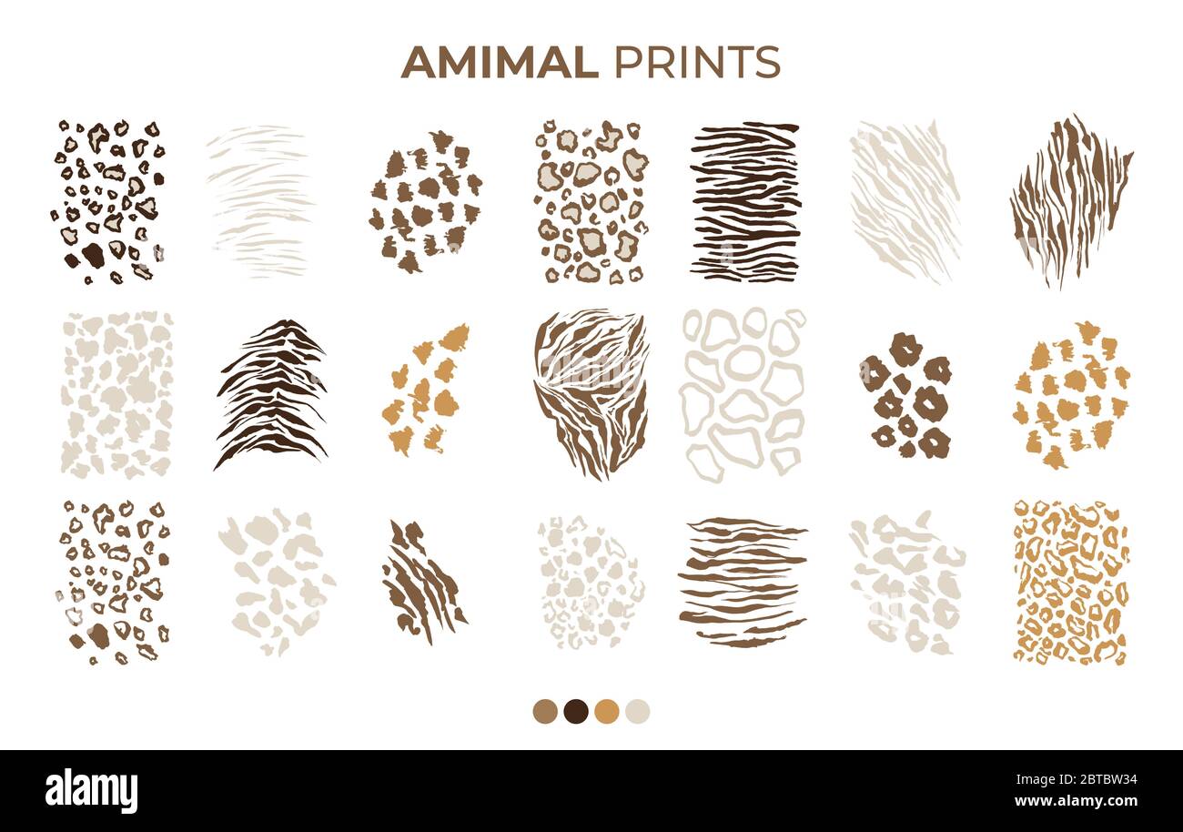 Tiger Prints Muster, Safari Tiere Haut von Leopard, jaguar und Zebra, Vektor-Textur Dekoration Elemente. Safari Tiere Muster, Panther Geparden und Giraffe Pelz Haar Leder isoliert Set Stock Vektor