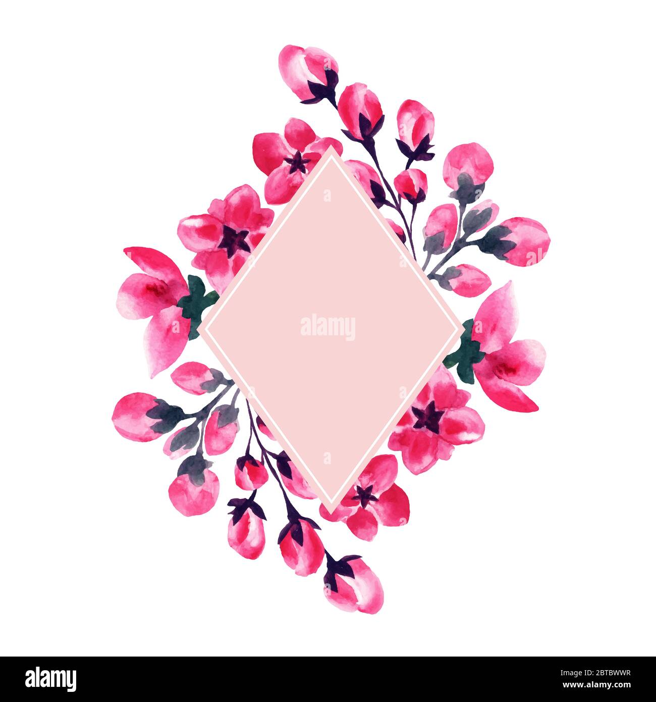Sakura Blumen Kirschbluten Aquarell Rahmen Von Rosa Bluten Blutenblatter Und Knospen Blumendekoration Druckvorlage Kirschblutenblumen Oder Japanisches Sakura Rouge Aquarell Bluhendes Blumenmuster Stock Vektorgrafik Alamy