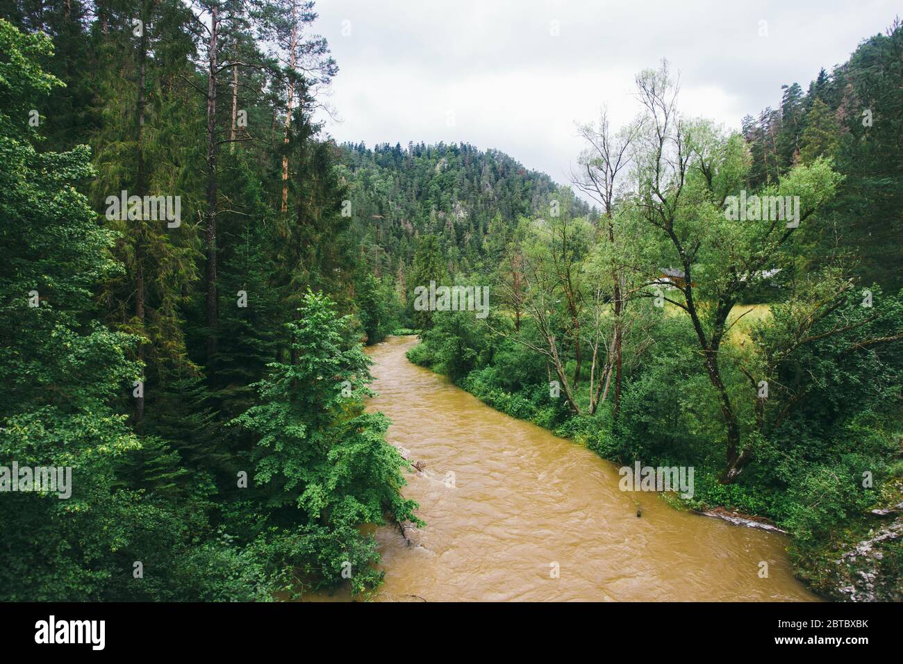 Schmutziger Gebirgsfluss nach Regen. Moody Mountain Fluss im Nationalpark Slowakisches Paradies, Slowakische republik. Wasserflut auf Fluss nach starkem Regen Hornad Stockfoto