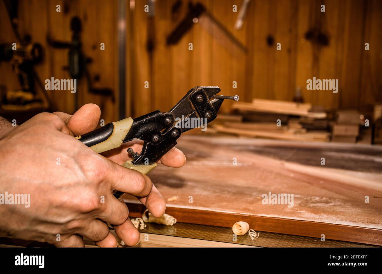 Ein Mann, der Nägel mit Zangen in der Werkstatt, Hände nur, Nahaufnahme schneidet. Stockfoto