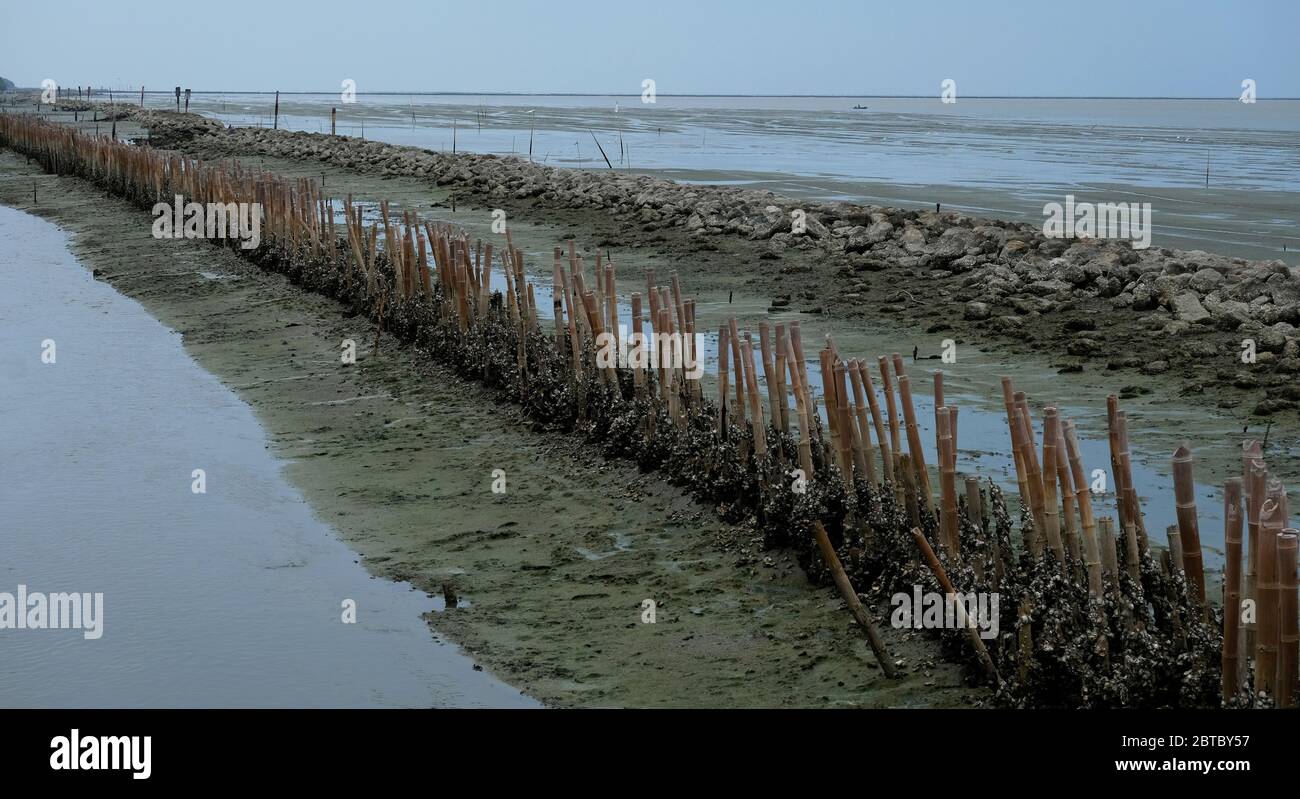 Landschaft von Feuchtgebieten und das Meer 4 Stockfoto