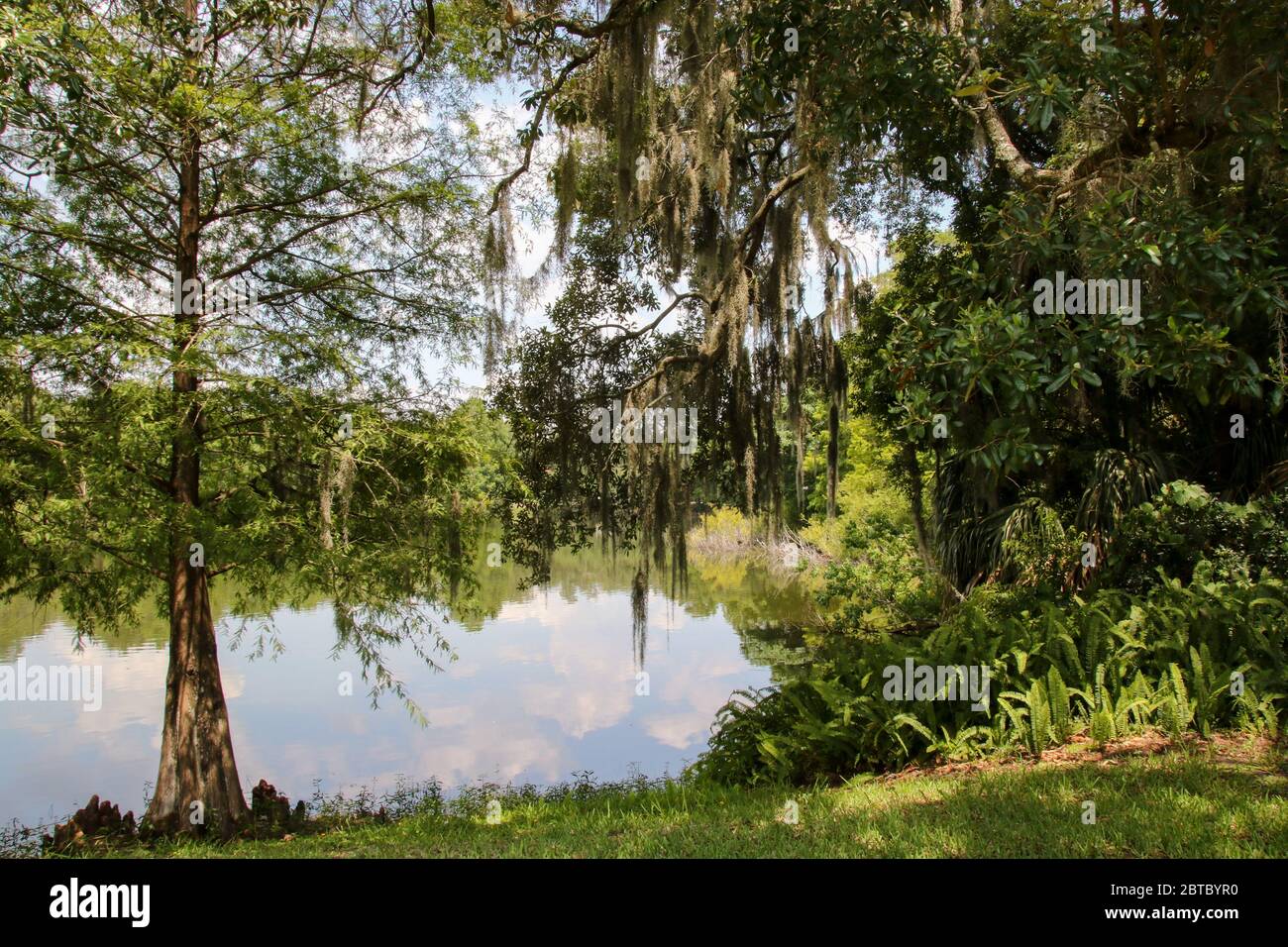Lawsona Park, Orlando, Central Florida Stockfoto