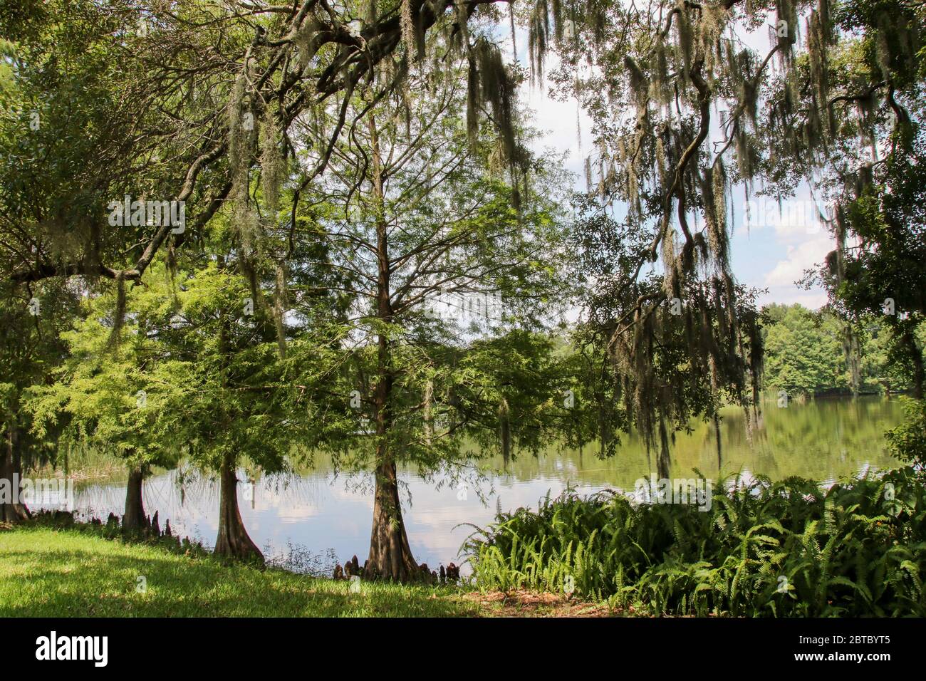 Lawsona Park, Orlando, Central Florida Stockfoto