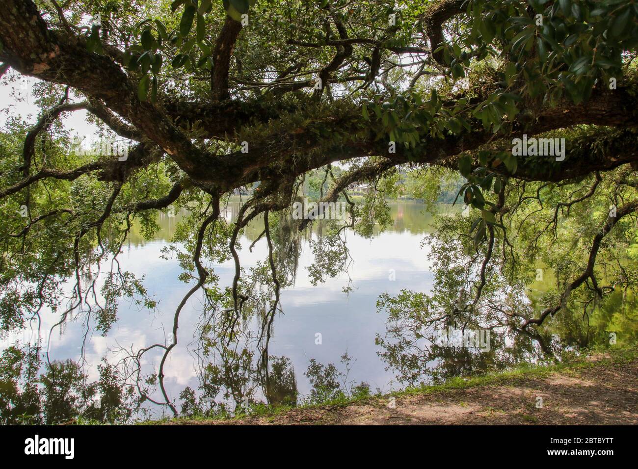 Lawsona Park, Orlando, Central Florida Stockfoto