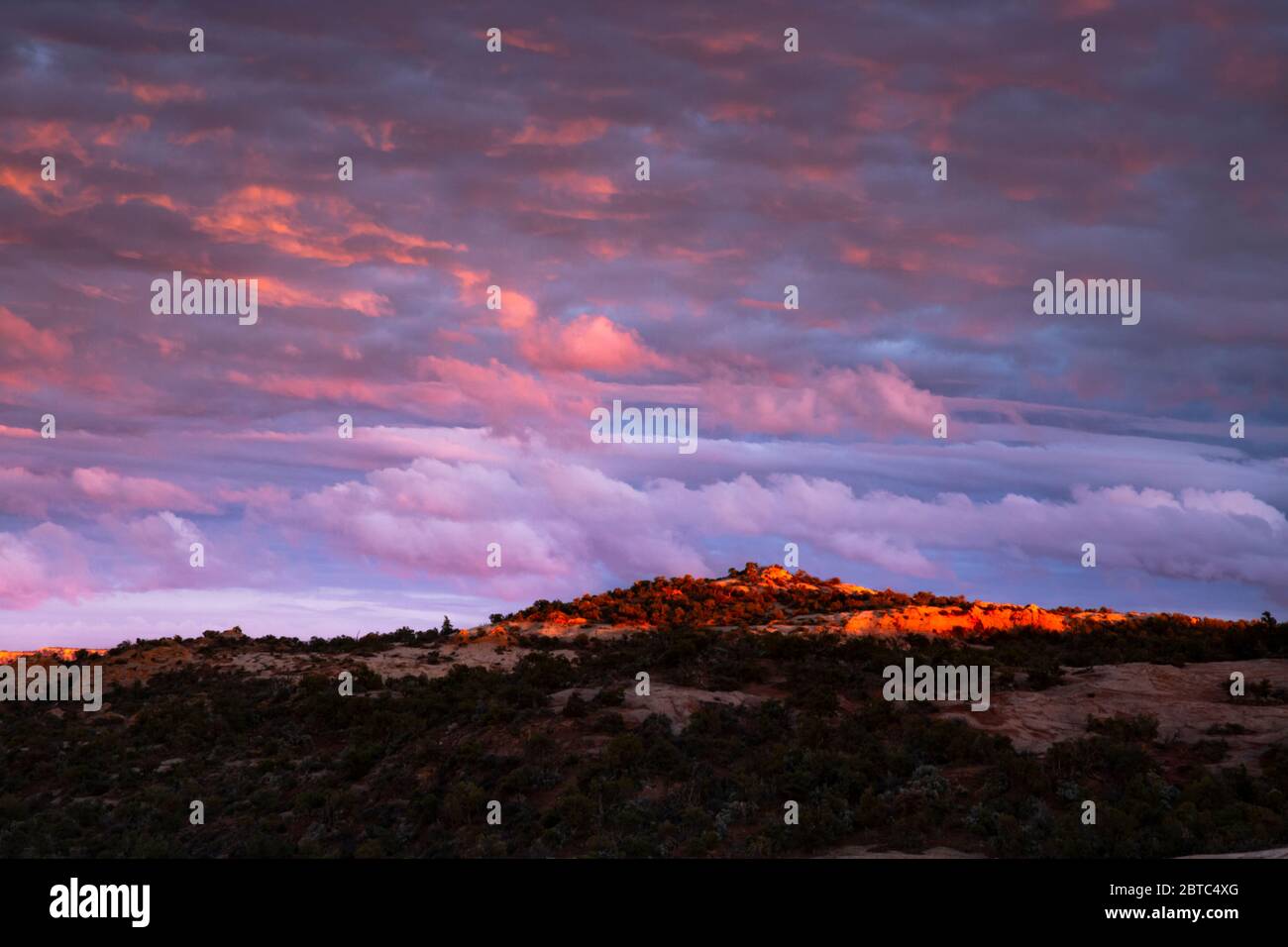AZ00388-00...ARIZONA - Sonnenuntergang vom Canyon View Trail im Navajo National Monument., Stockfoto