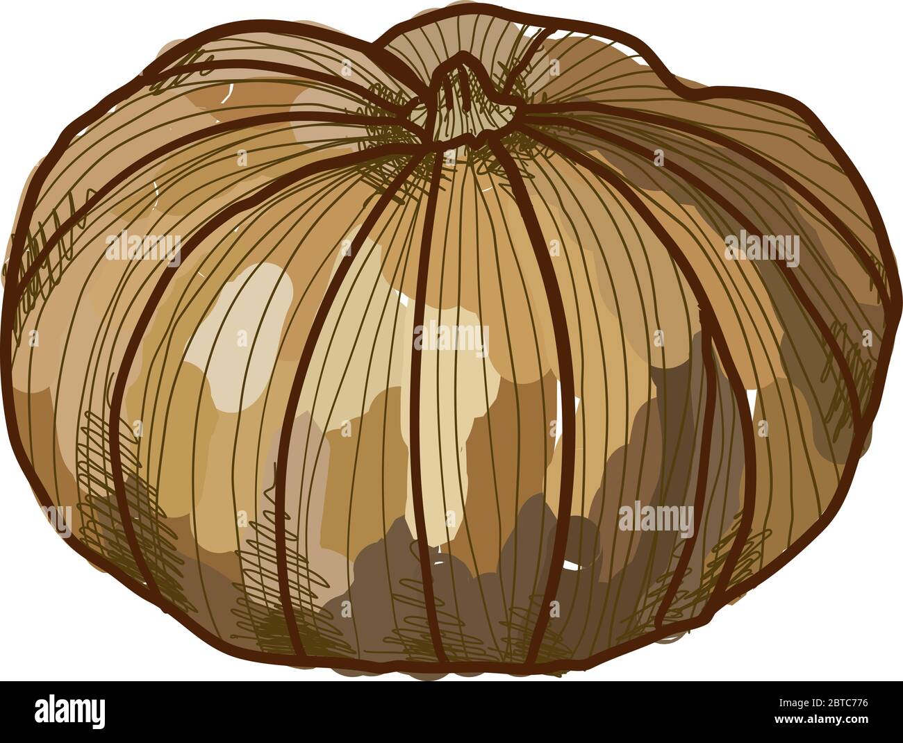 Käsekürbis, Illustration, Vektor auf weißem Hintergrund Stock Vektor
