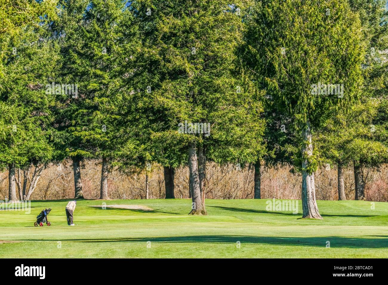 Golfer spielen Golf und halten soziale Distanz Stockfoto