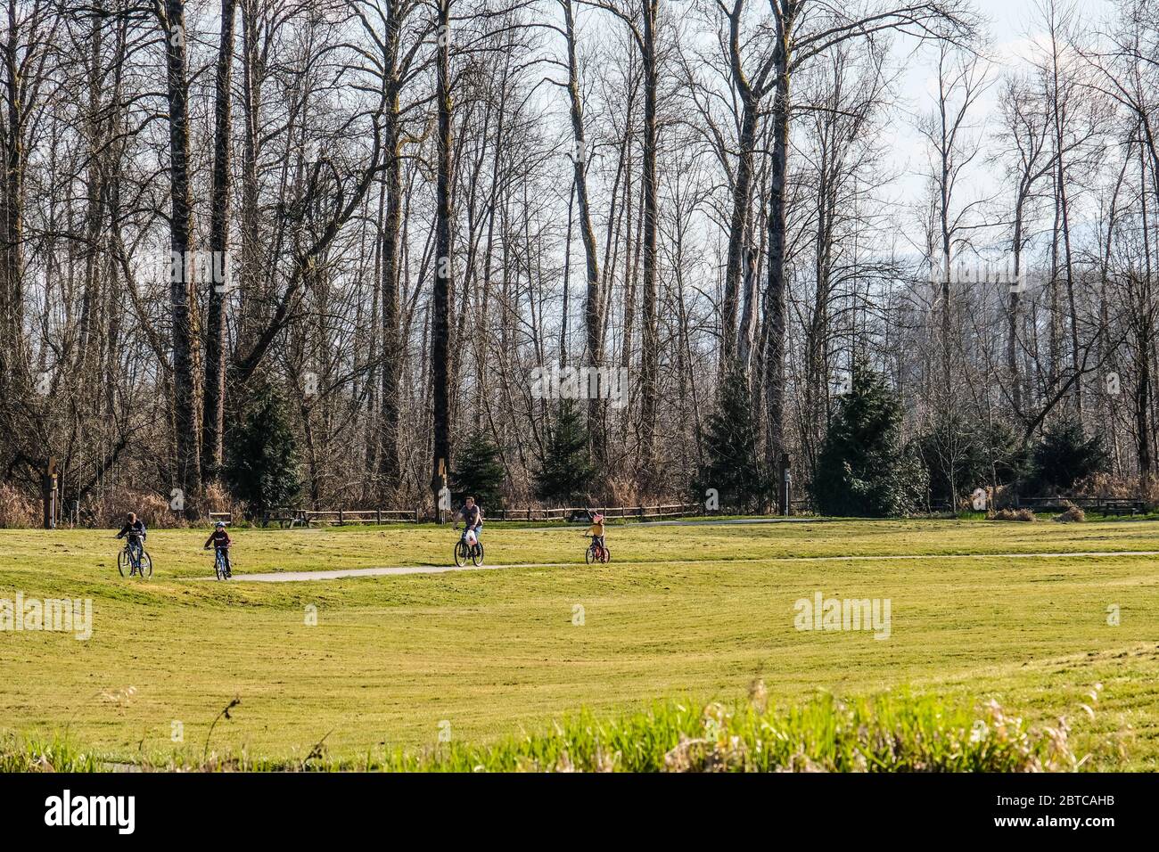 Eine Familie, die Fahrräder im Park am frühen Frühlingstag reitet Stockfoto