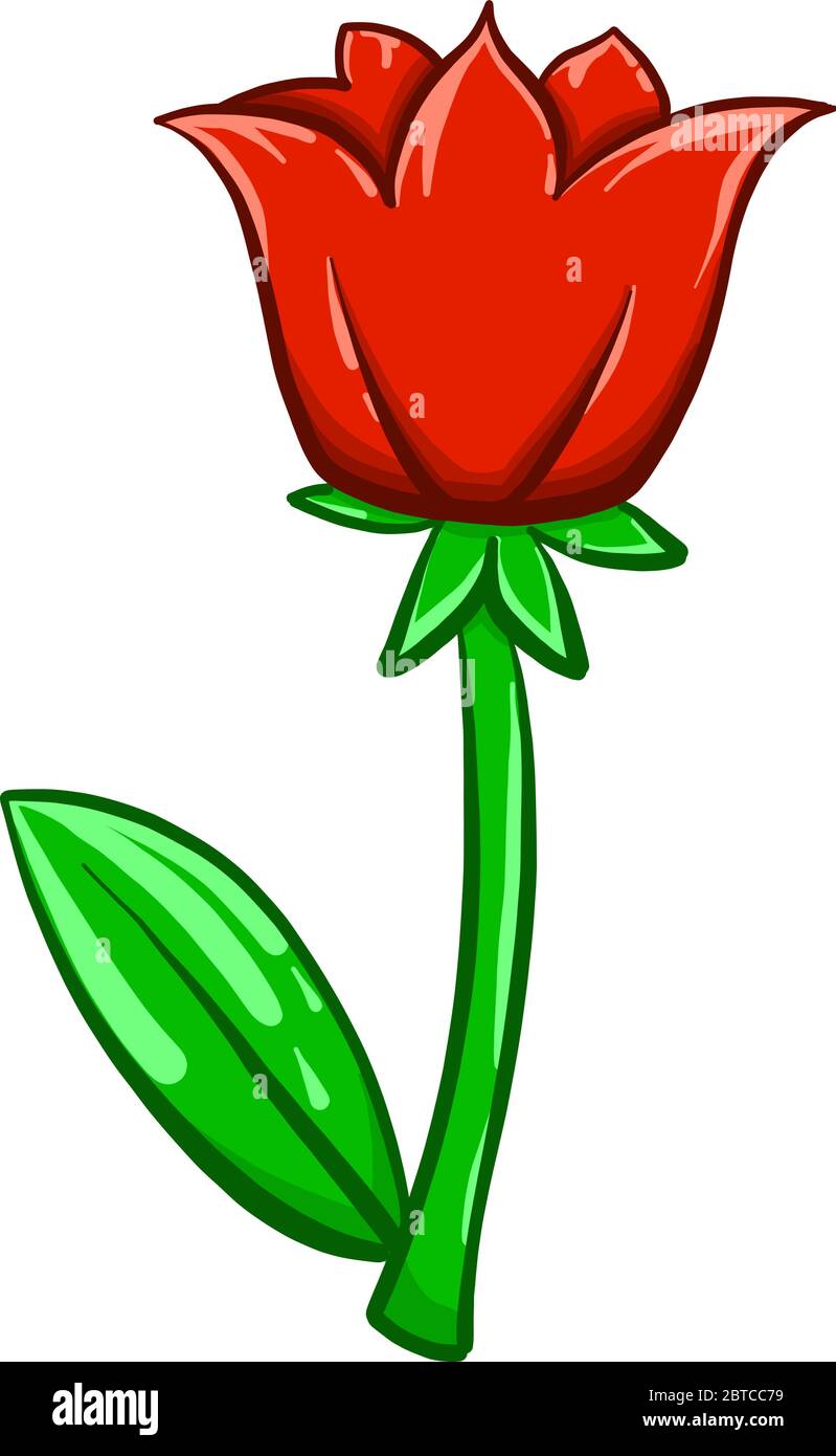 Roter Mohn , Illustration, Vektor auf weißem Hintergrund Stock Vektor