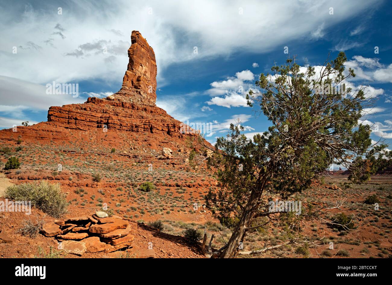 UT00593-00...UTAH - EIN Wacholder auf der Basis einer butte im Tal der Götter. Stockfoto