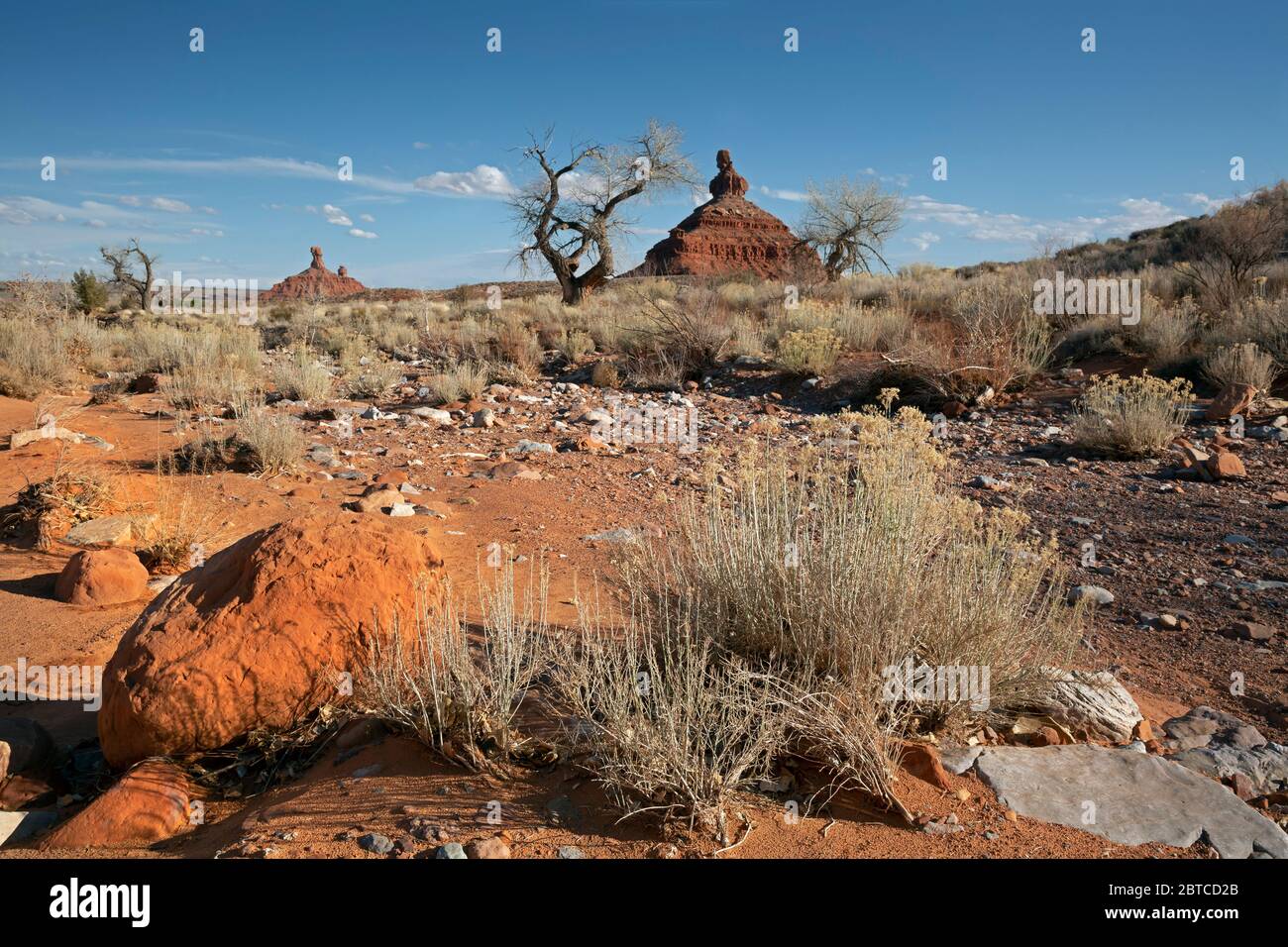 UT00607-00...UTAH - Rote Sandsteinbutten, die aus der hohen, trockenen Prärie im Tal der Götter emporragen. Stockfoto