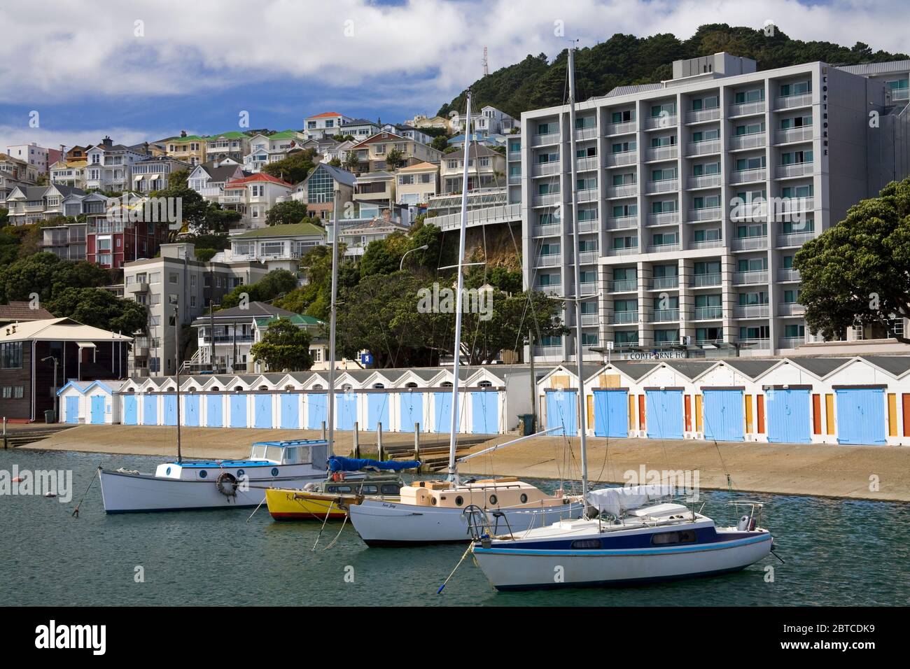 Bootsschuppen in Chaffers Marina, Oriental Bay, Wellington City, North Island, Neuseeland Stockfoto