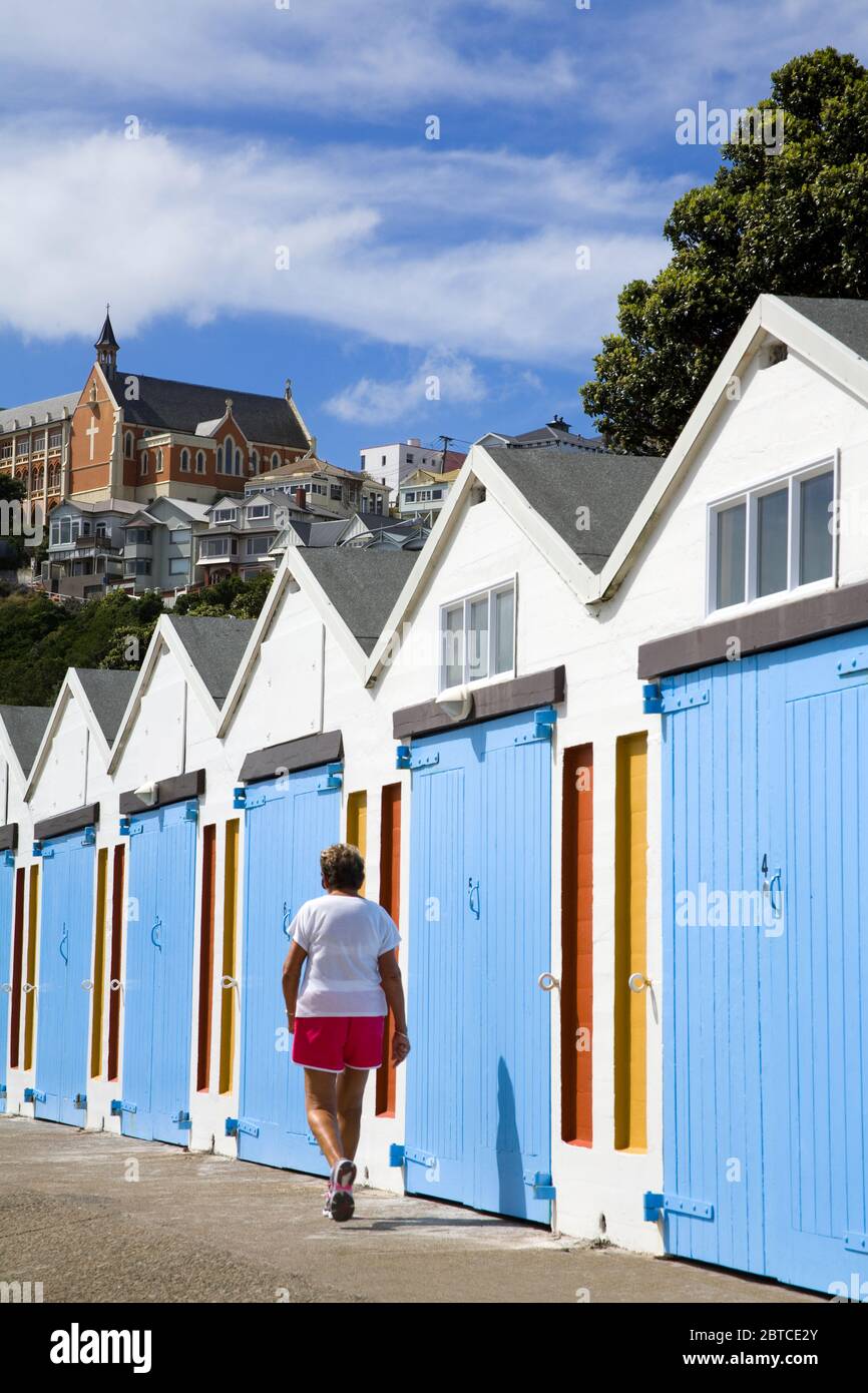 Bootsschuppen in Chaffers Marina, Oriental Bay, Wellington City, North Island, Neuseeland Stockfoto