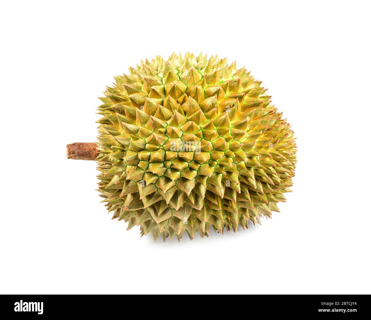 Frische Durian Frucht mit isoliertem Hintergrund. König der Früchte Stockfoto