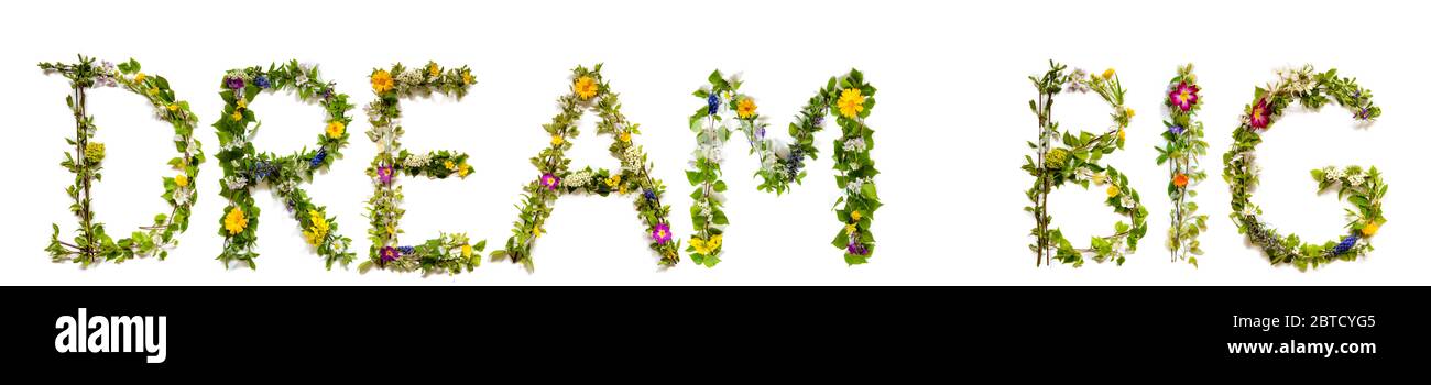 Blumen- Und Blütenbriefe Wortbildung Traum Groß Stockfoto