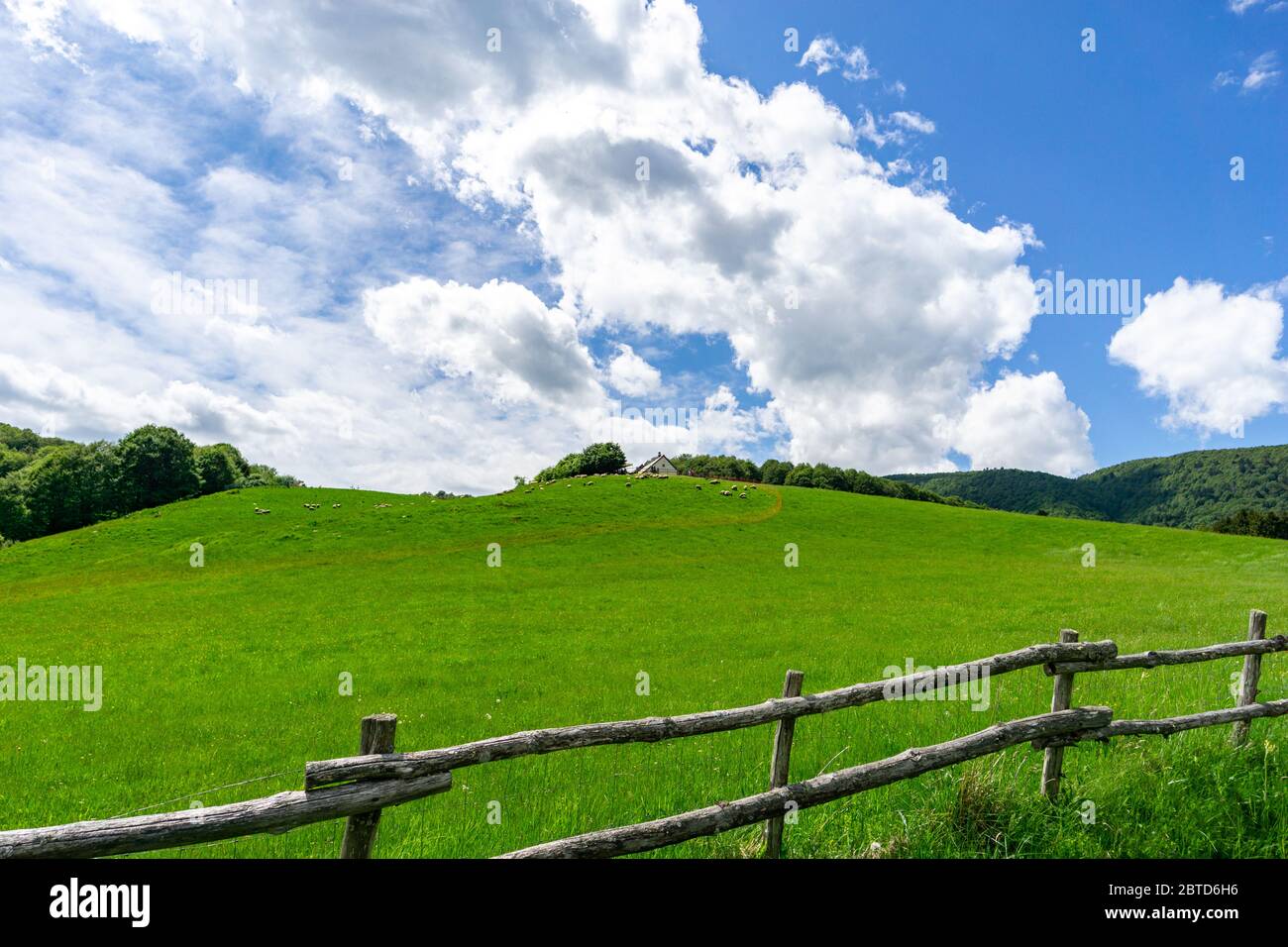 Pian del Cansiglio - Prealpi Venete - Italienische Berge - Italien Stockfoto