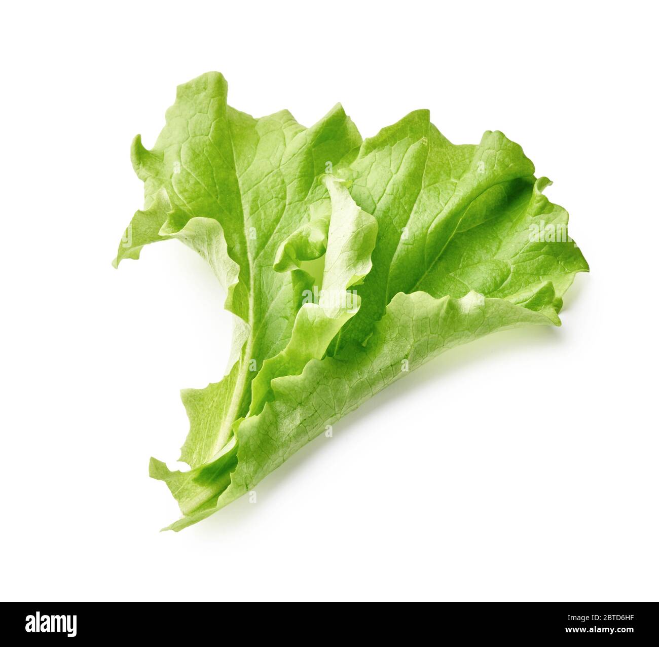 Salatblatt auf weißem Hintergrund isoliert. Ansicht von oben auf die Salatblätter. Stockfoto