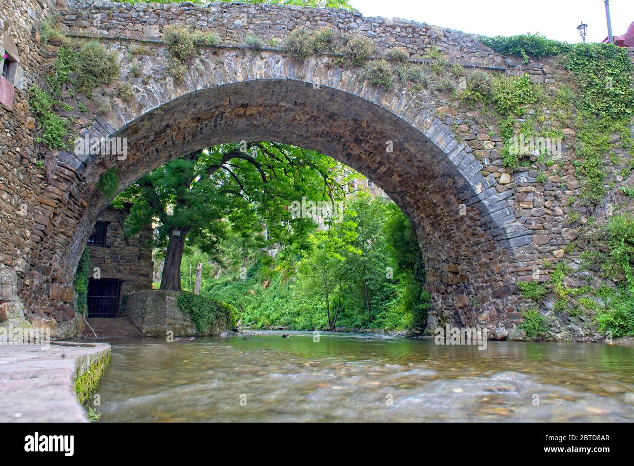 Der Fluss Quiviesa fließt unter einer alten Steinbrücke in Potes, Kantabrien, Spanien. Stockfoto