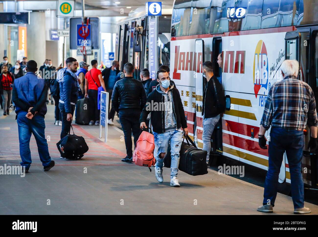 Düsseldorf, Nordrhein-Westfalen, Deutschland - Saisonarbeiter landen am Flughafen Düsseldorf mit Sonderflugzeugen aus Rumänien, Busse bringen die Ernte Stockfoto