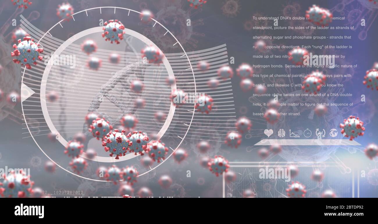 Scan von DNA-Stamm mit Daten und Coronavirus covid19 Zellen schwimmend Stockfoto