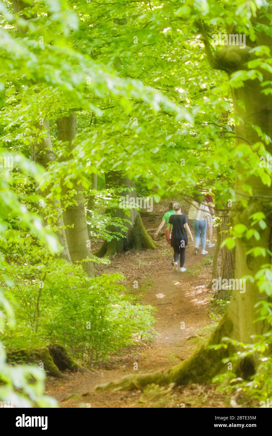 Wandern im Wald, Deutschland, Nordrhein-Westfalen, Hagen-Hohenlimburg Stockfoto
