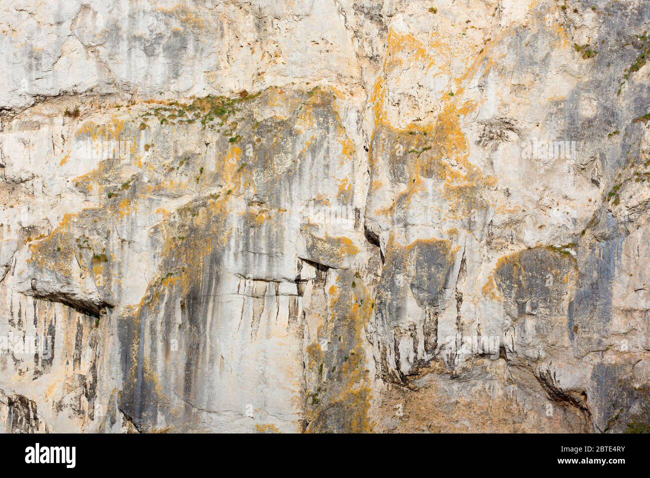 Felswand, Belgien, Ardennen, Freyr, Dinant Stockfoto